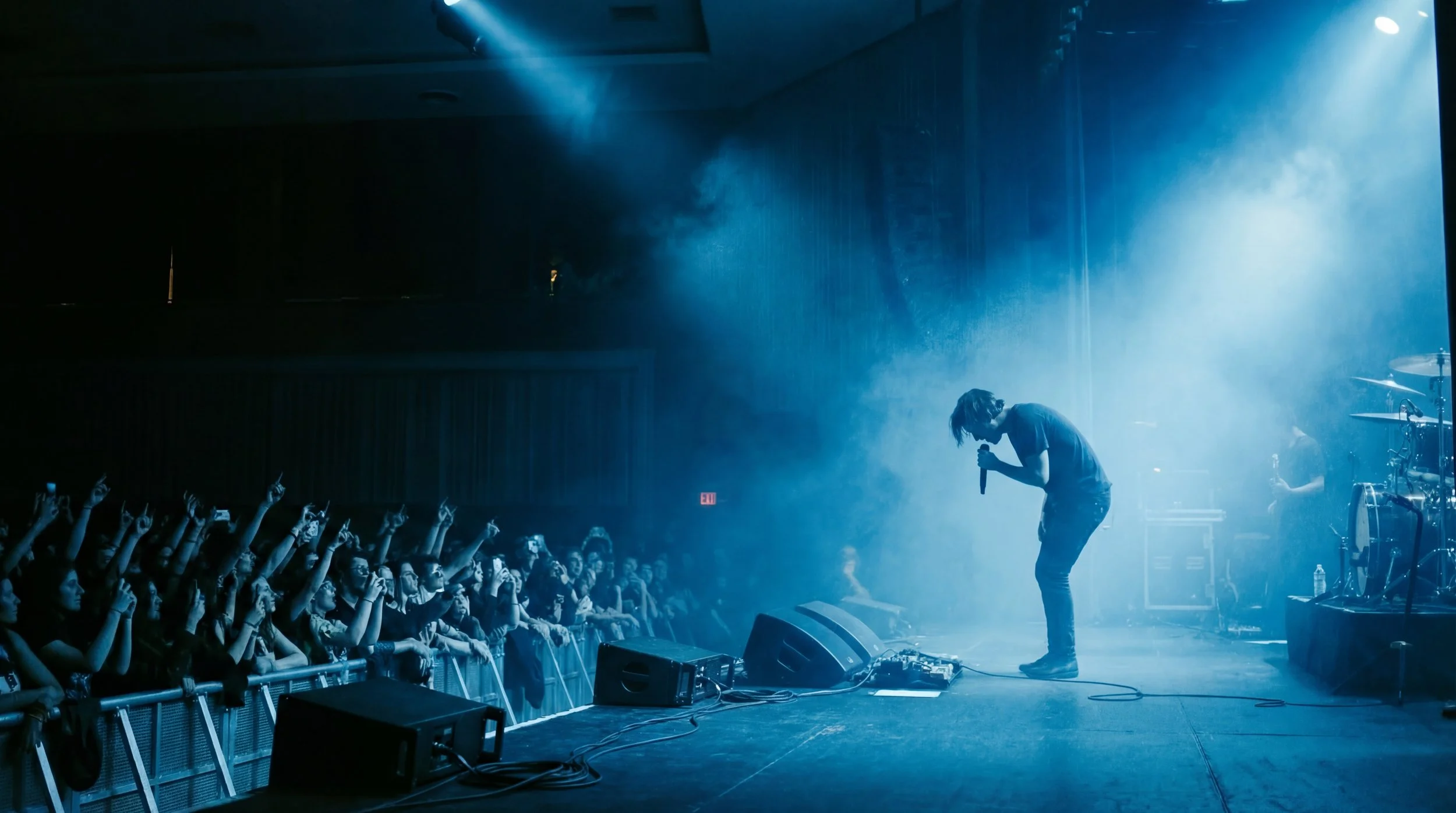 Concert crowd aerial view